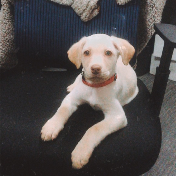 Sammi Bev - Picture 5 of 5